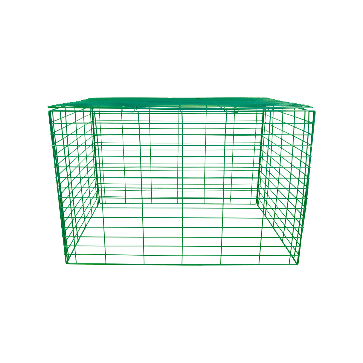 Running Pen Mr. Chuck Pet Store