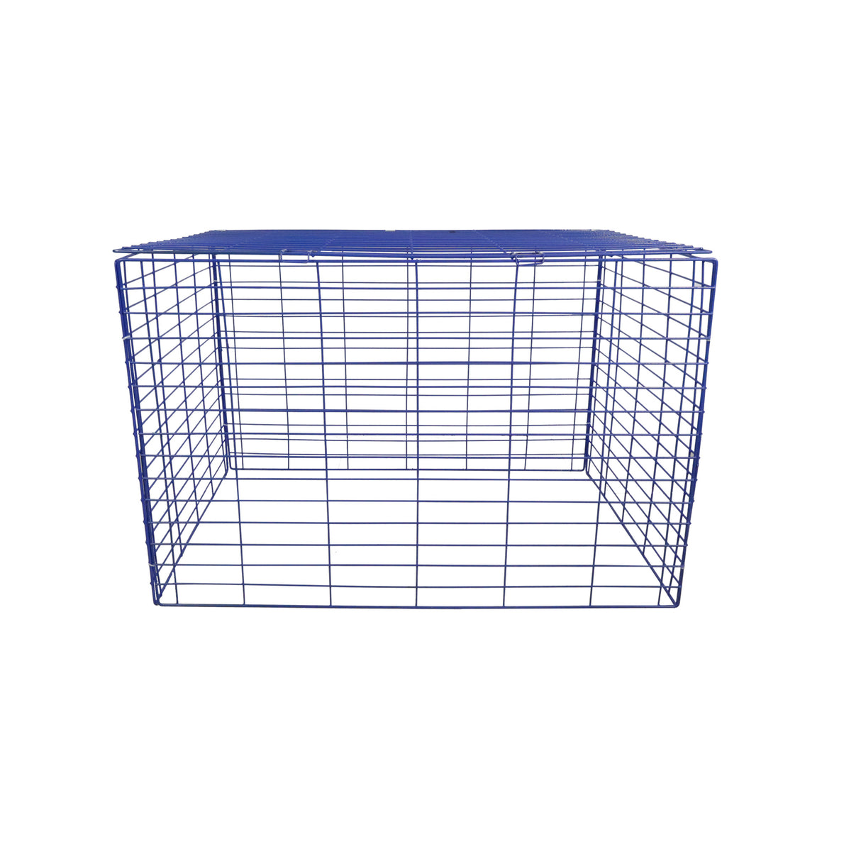 Running Pen Mr. Chuck Pet Store