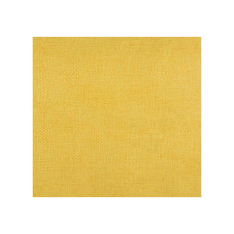 Pica Pillow - Body Pillow (Pillow Case ONLY) Pica Pillow