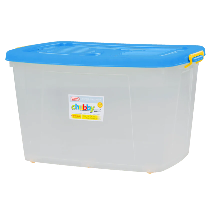 Chubby Box Big Transparent Zooey