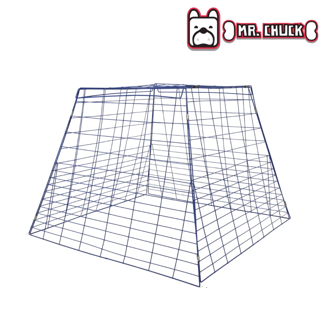 SCRATCH PEN Mr. Chuck Pet Store