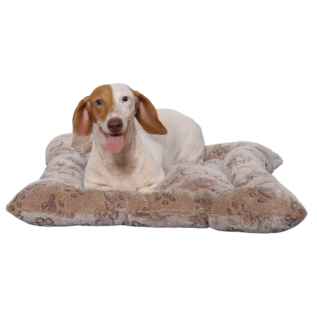 Mr. Chuck - CARTER Dog Comfort Mat Mr. Chuck Pet Store