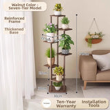 Timberra - Mirexa - ImperialZen Solid Wood Display Shelf - Tea Room / Living Room / Study Timberra