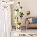 Timberra - Mirexa - ImperialZen Solid Wood Display Shelf - Tea Room / Living Room / Study Timberra