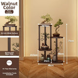 Timberra - Mirexa - ImperialZen Solid Wood Display Shelf - Tea Room / Living Room / Study Timberra