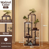 Timberra - Mirexa - ImperialZen Solid Wood Display Shelf - Tea Room / Living Room / Study Timberra