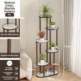 Timberra - Mirexa - ImperialZen Solid Wood Display Shelf - Tea Room / Living Room / Study Timberra