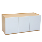Blowout Sale - Palonian Cabinet AF Home