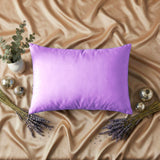 Pica Pillow | Sweet Dreams King Pillow 20x36 Pica Pillow
