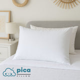 Pica Pillow - Sweet Dreams (Buy 1, Take 1) Pica Pillow