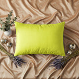 Pica Pillow | Sweet Dreams King Pillow 20x36 Pica Pillow