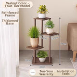 Timberra - Mirexa - ImperialZen Solid Wood Display Shelf - Tea Room / Living Room / Study Timberra
