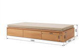 CARTER-DAYBED STORAGE