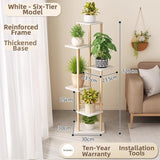 Timberra - Mirexa - ImperialZen Solid Wood Display Shelf - Tea Room / Living Room / Study Timberra