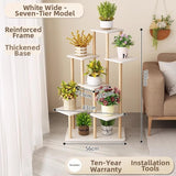 Timberra - Mirexa - ImperialZen Solid Wood Display Shelf - Tea Room / Living Room / Study Timberra