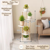Timberra - Mirexa - ImperialZen Solid Wood Display Shelf - Tea Room / Living Room / Study Timberra
