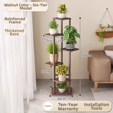 Timberra - Mirexa - ImperialZen Solid Wood Display Shelf - Tea Room / Living Room / Study Timberra
