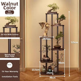 Timberra - Mirexa - ImperialZen Solid Wood Display Shelf - Tea Room / Living Room / Study Timberra
