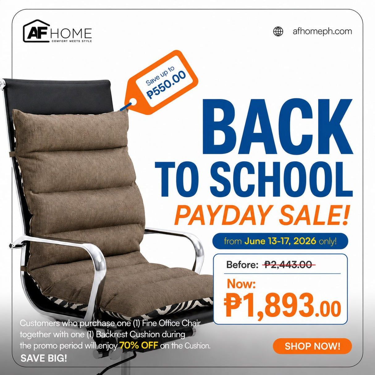 Fine office Chair with Backrest Cushion l Back to School Payday Sale
