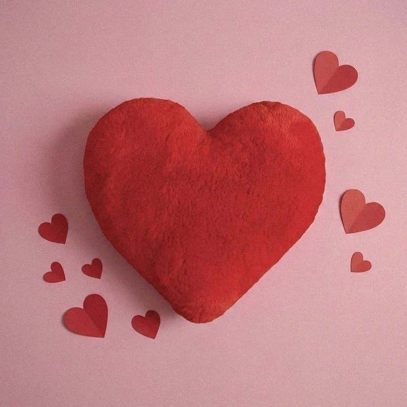Pica Pillow - Fluffy Heart Plush Pillow AF Home