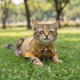 Solara Pet Shirt