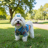 Fiesta Pet Shirt
