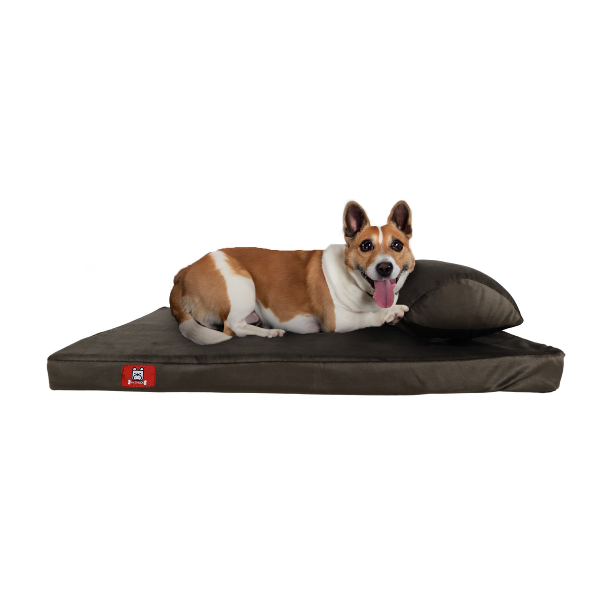 GELO | DOG BED BIG + BONE PILLOW (RANDOM COLOR) | 11.11 KNOCKDOWN Mr. Chuck Pet Store