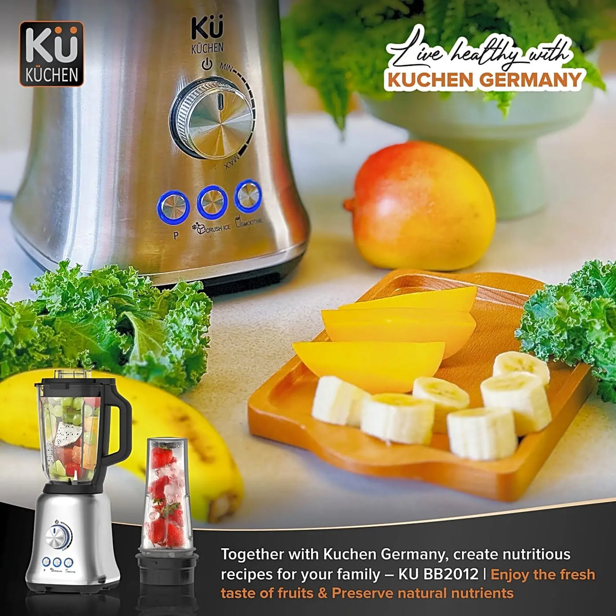 Blender BB2012