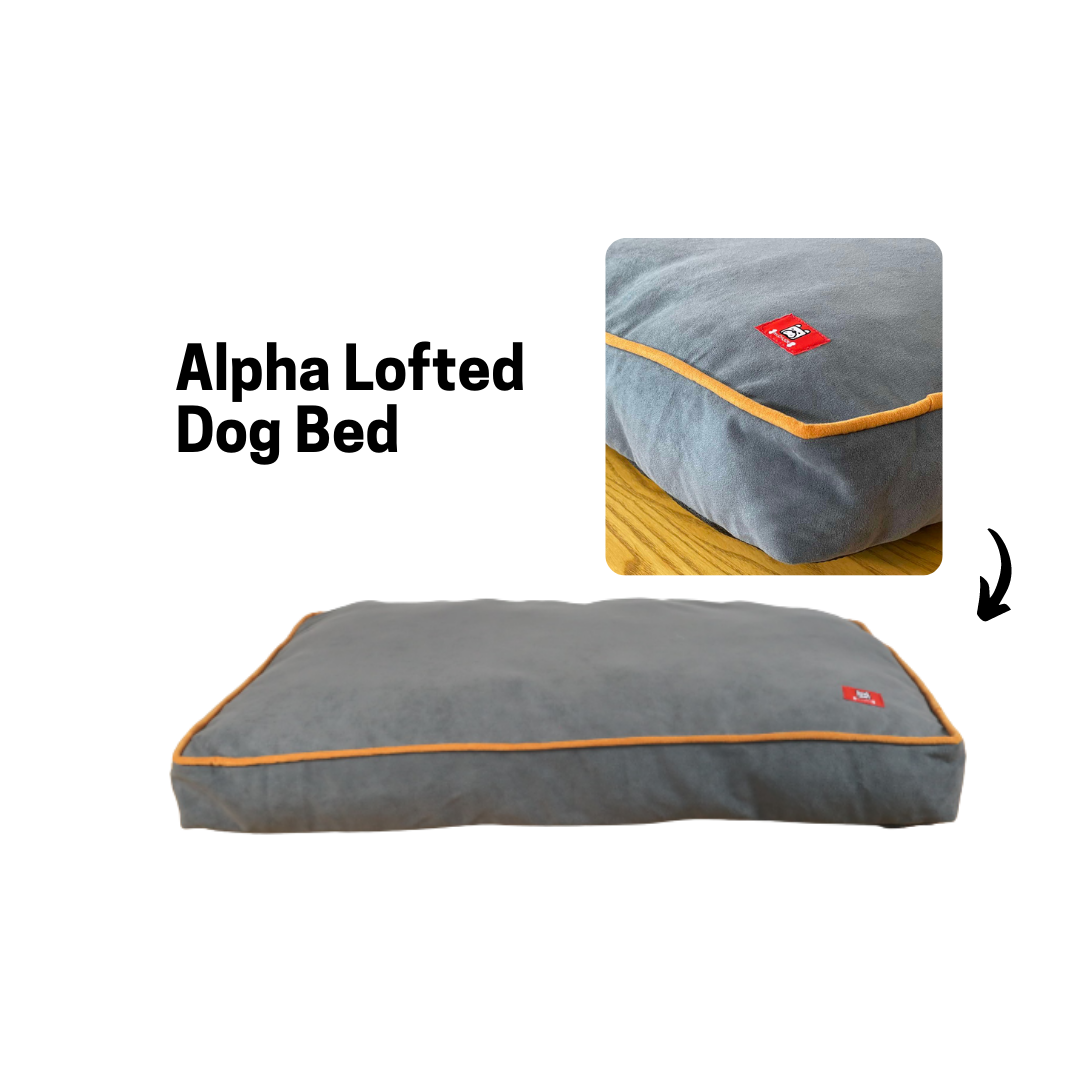 Mr. Chuck - Alpha Dog Lofted Dog Bed Mr. Chuck Pet Store