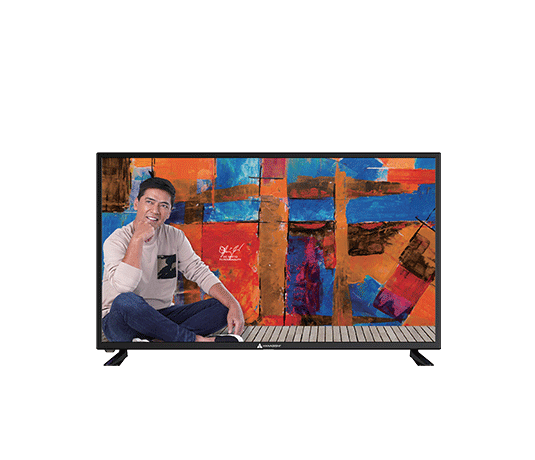 HANABISHI HLED-32HDDGSMT-8G 32" Digital Smart HD LED TV Hanabishi