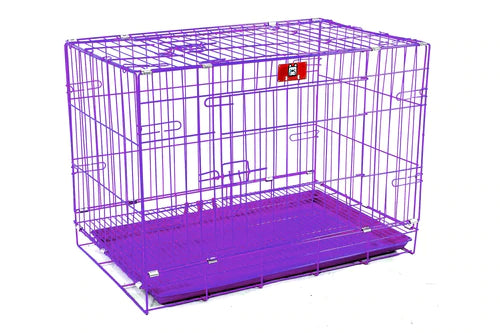 Mr. Chuck - Collapsible Pet Crate Purple Mr. Chuck Pet Store