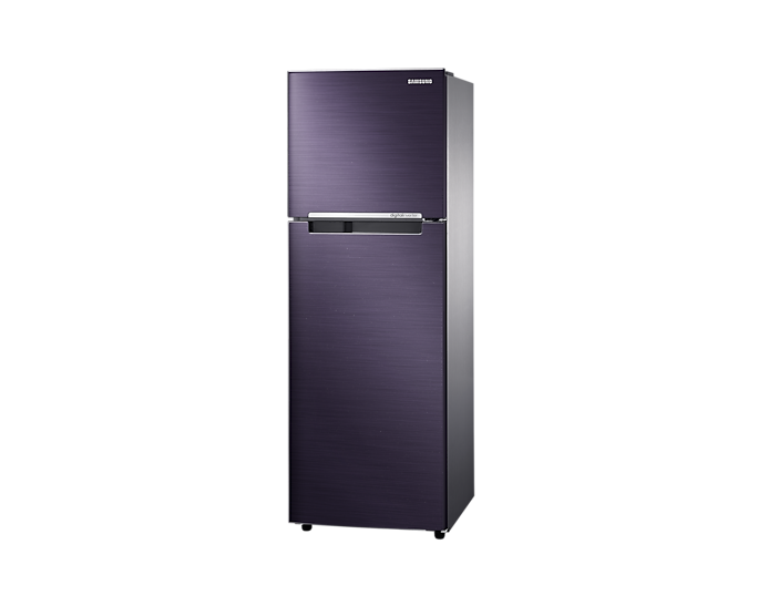 SAMSUNG 2-Door 9.1 cu.ft. Inverter Refrigerator (RT25FARBDUT/TC) Samsung